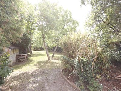 Picture 22